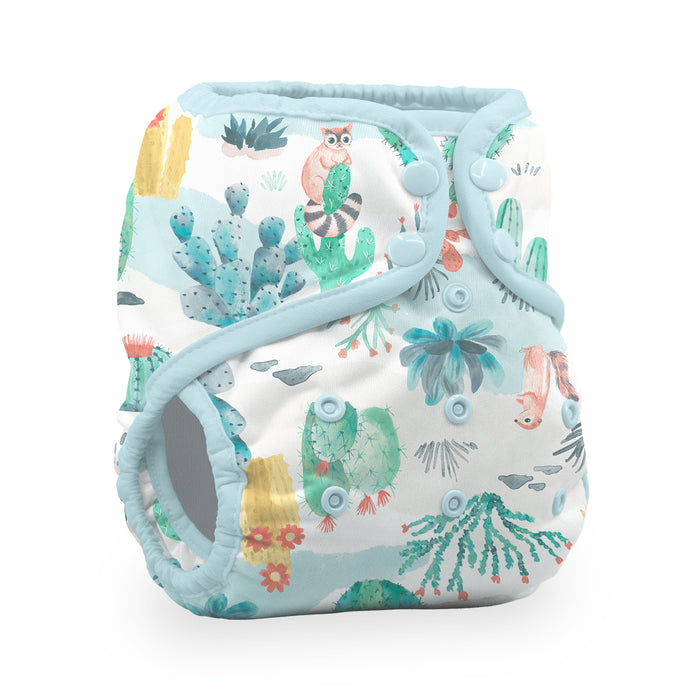 Thirsties: New Sonoran Desert Collection