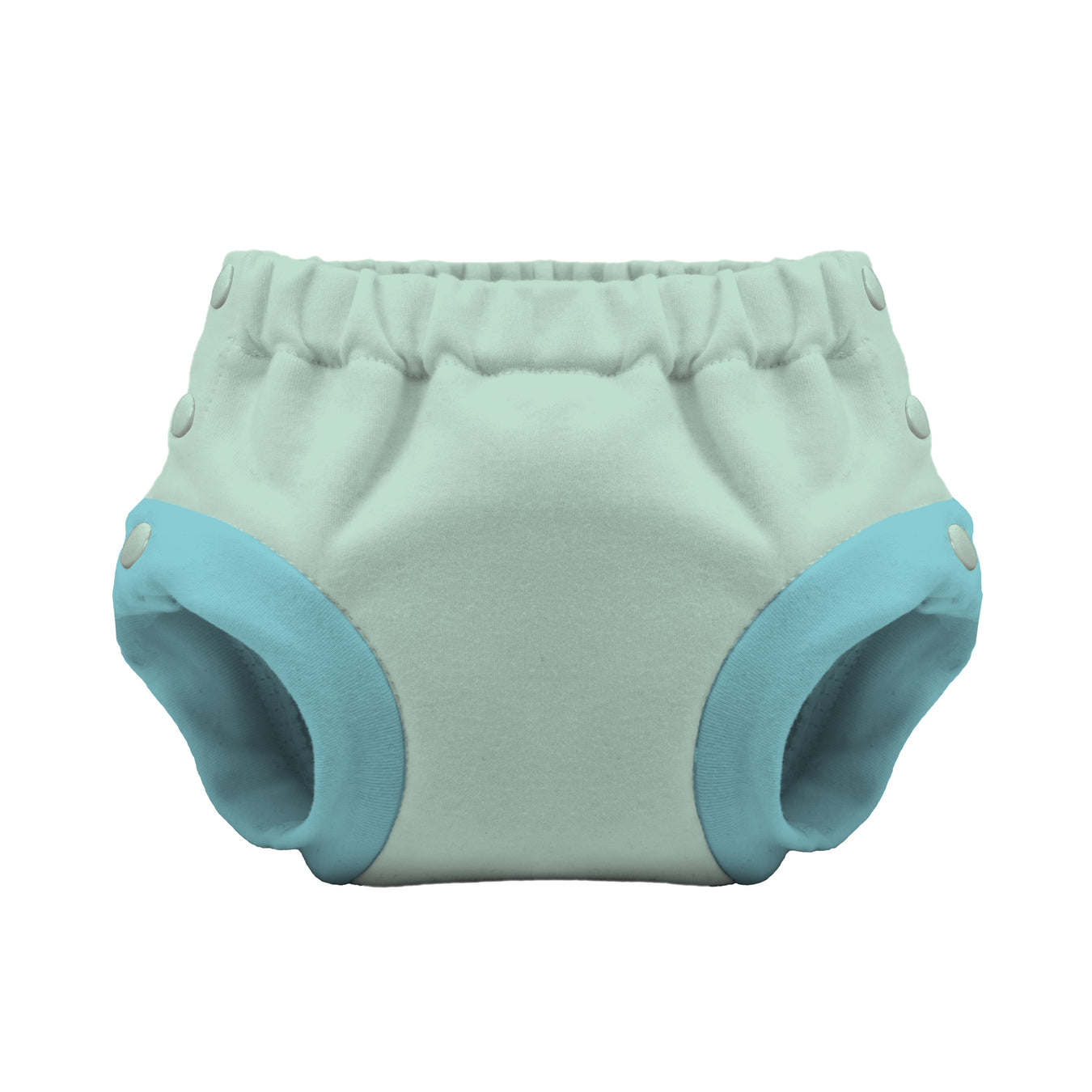 Potty Training Pants